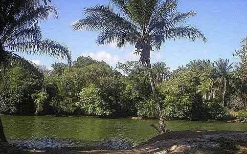 Lote, Portão