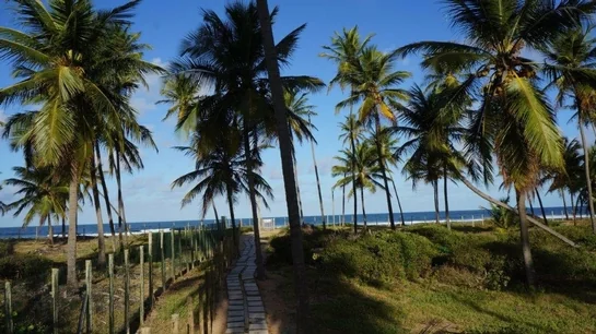 Lote, Praia do Forte