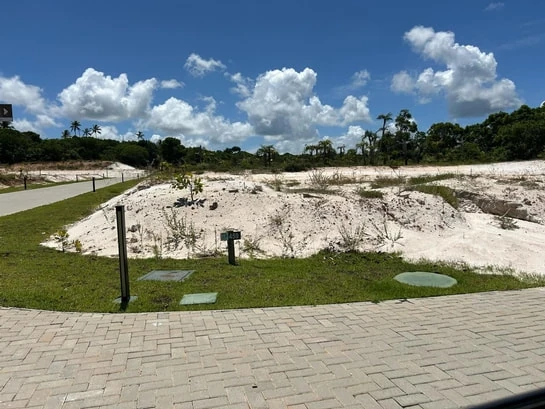 Lote, Praia do Forte