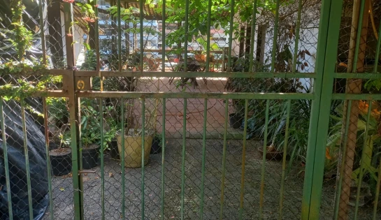 Casa de Rua, Horto Florestal
